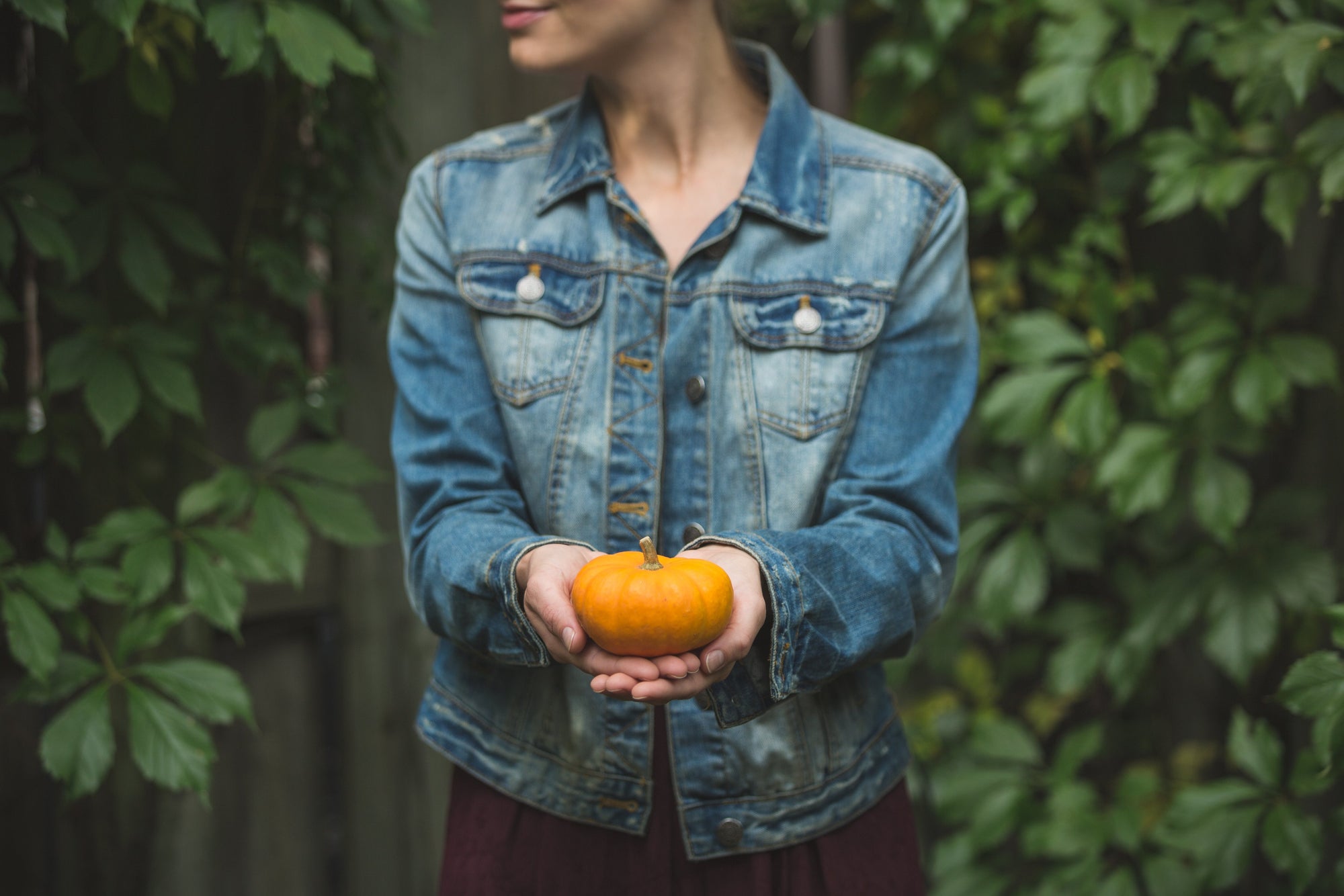 Fall Feels