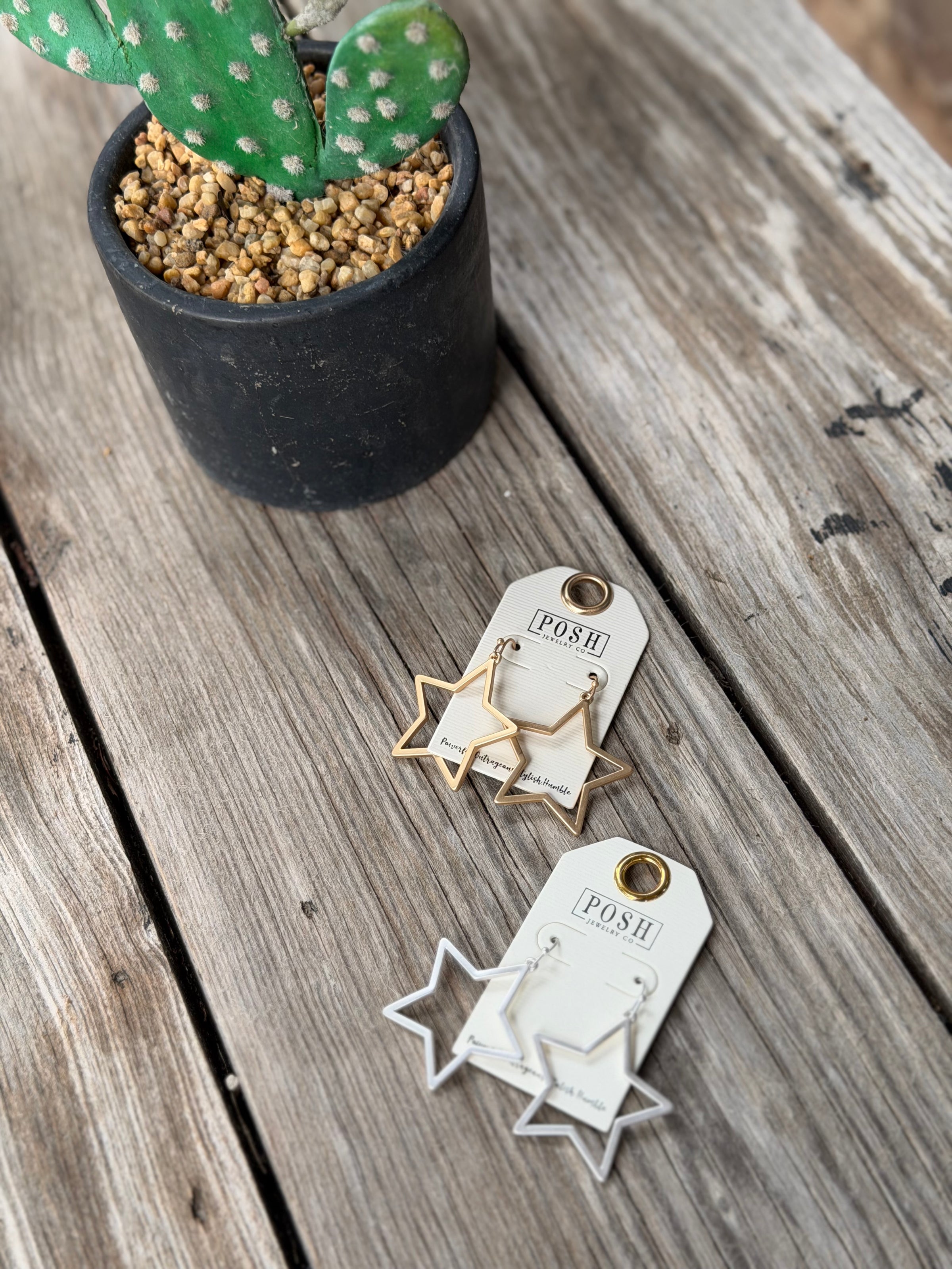 Matte Finish Open Star Earring