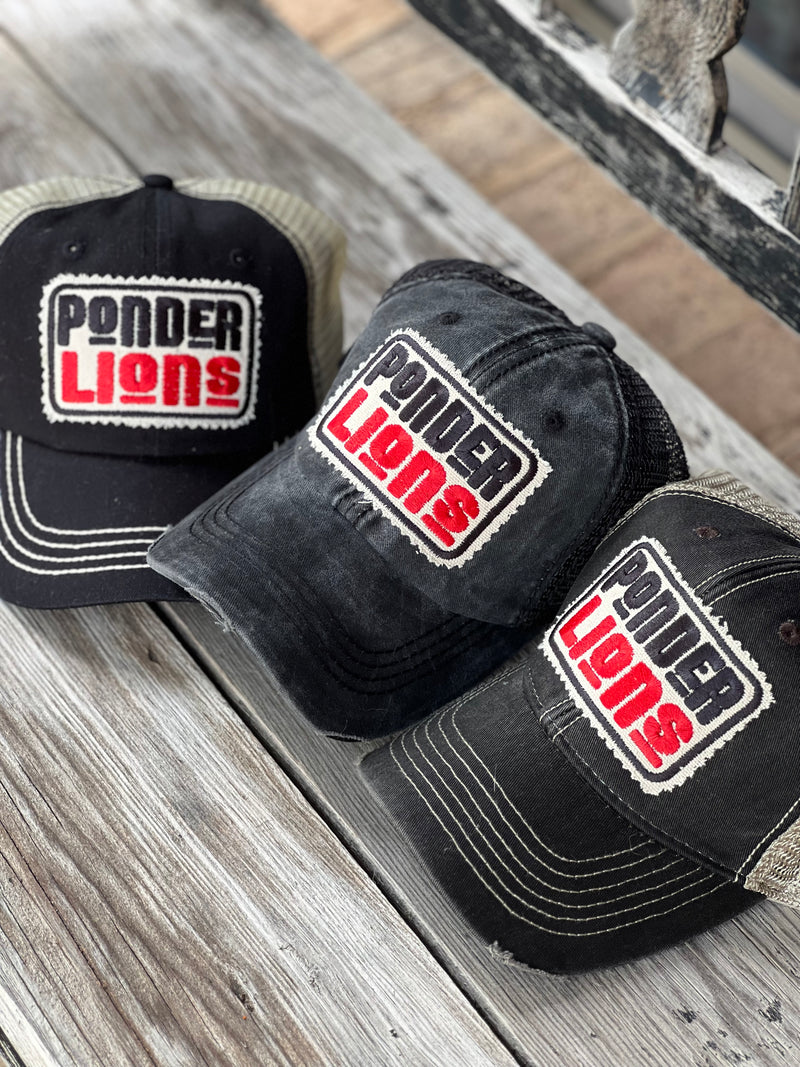 Accent Ponder Lions Trucker Hat