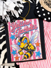 PREORDER | Custom Pink Stripe Vintage Mascot Tees