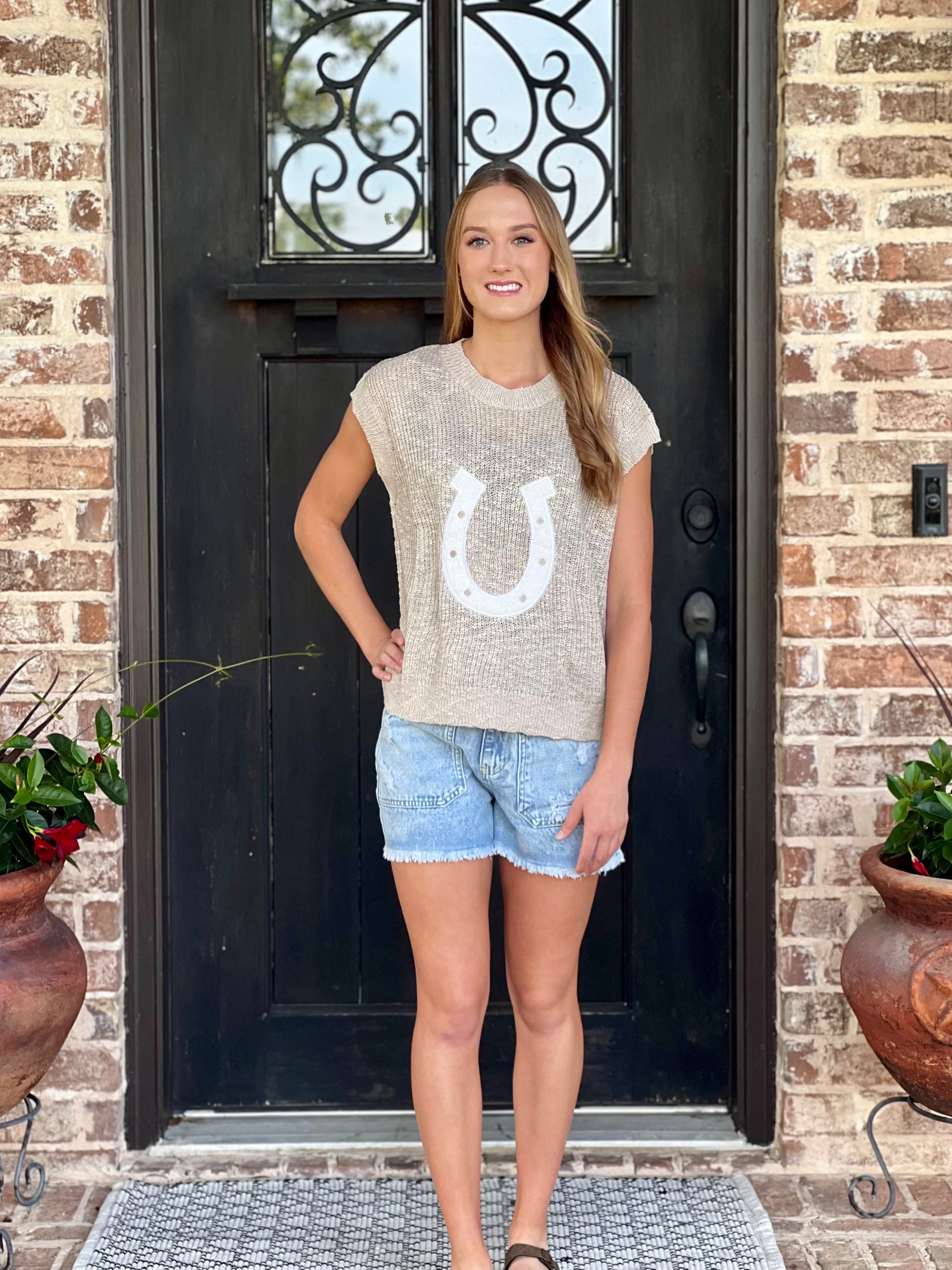 Horseshoe Graphic Summer Sweater Knit Vest