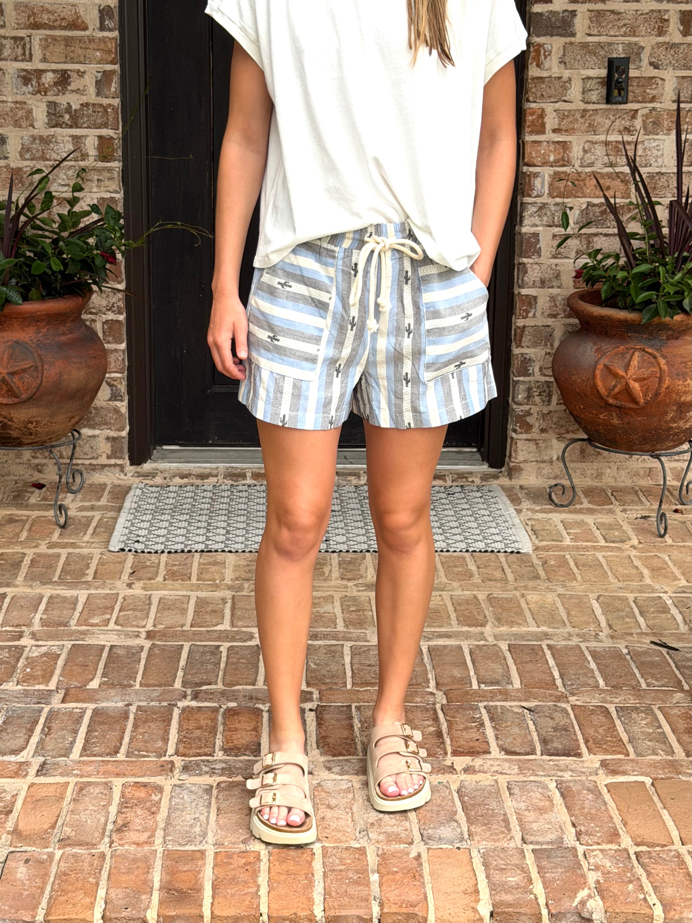 Drawstring Waist Striped Cactus Shorts
