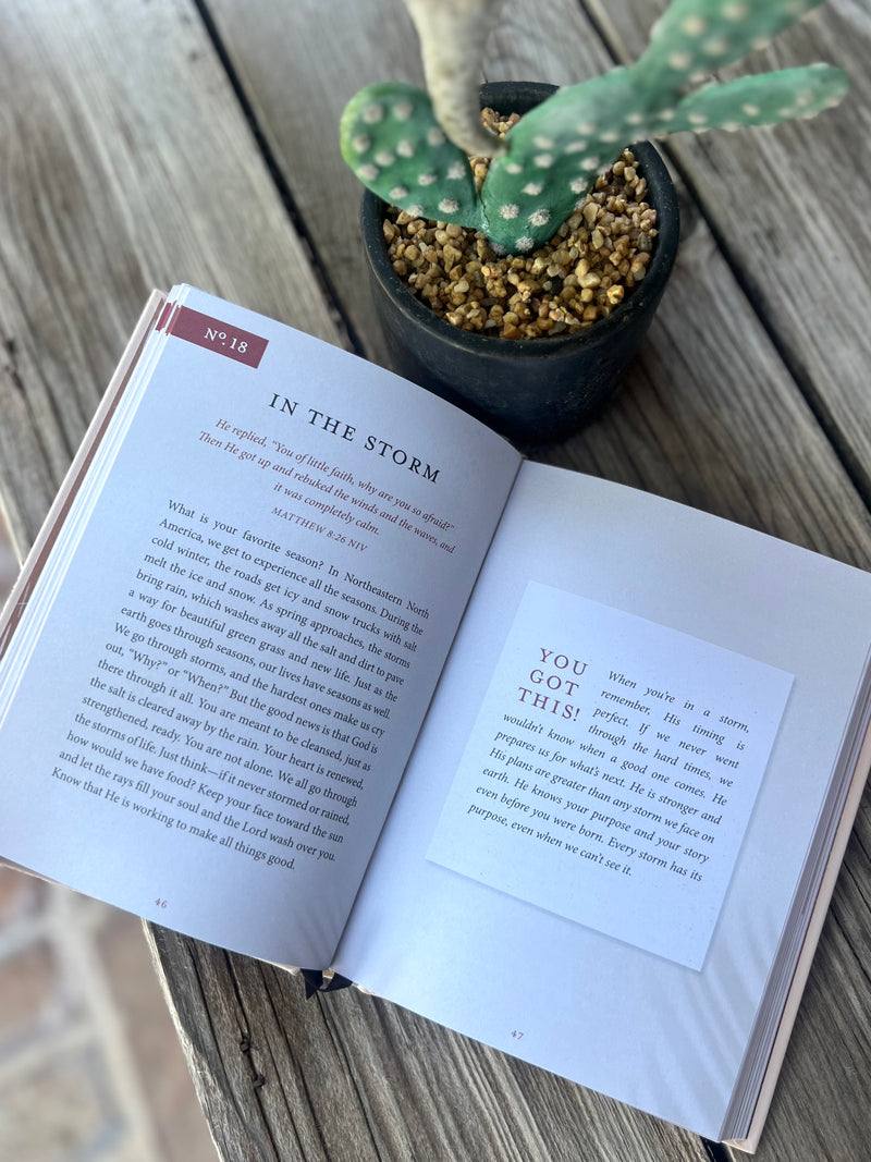 You Got This: 90 Devotions for Hard Working Women