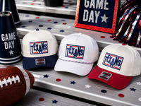Texans Mixed Lines Hat